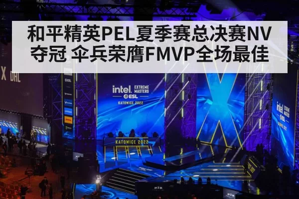 和平精英PEL夏季赛总决赛NV夺冠 伞兵荣膺FMVP全场最佳
