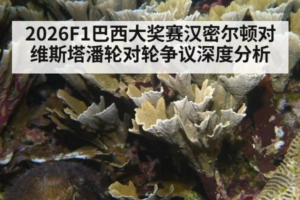 2026F1巴西大奖赛汉密尔顿对维斯塔潘轮对轮争议深度分析